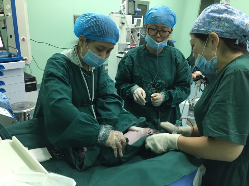 何清医生在为高危孕产妇助产分